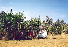 2002 - La Réunion B04